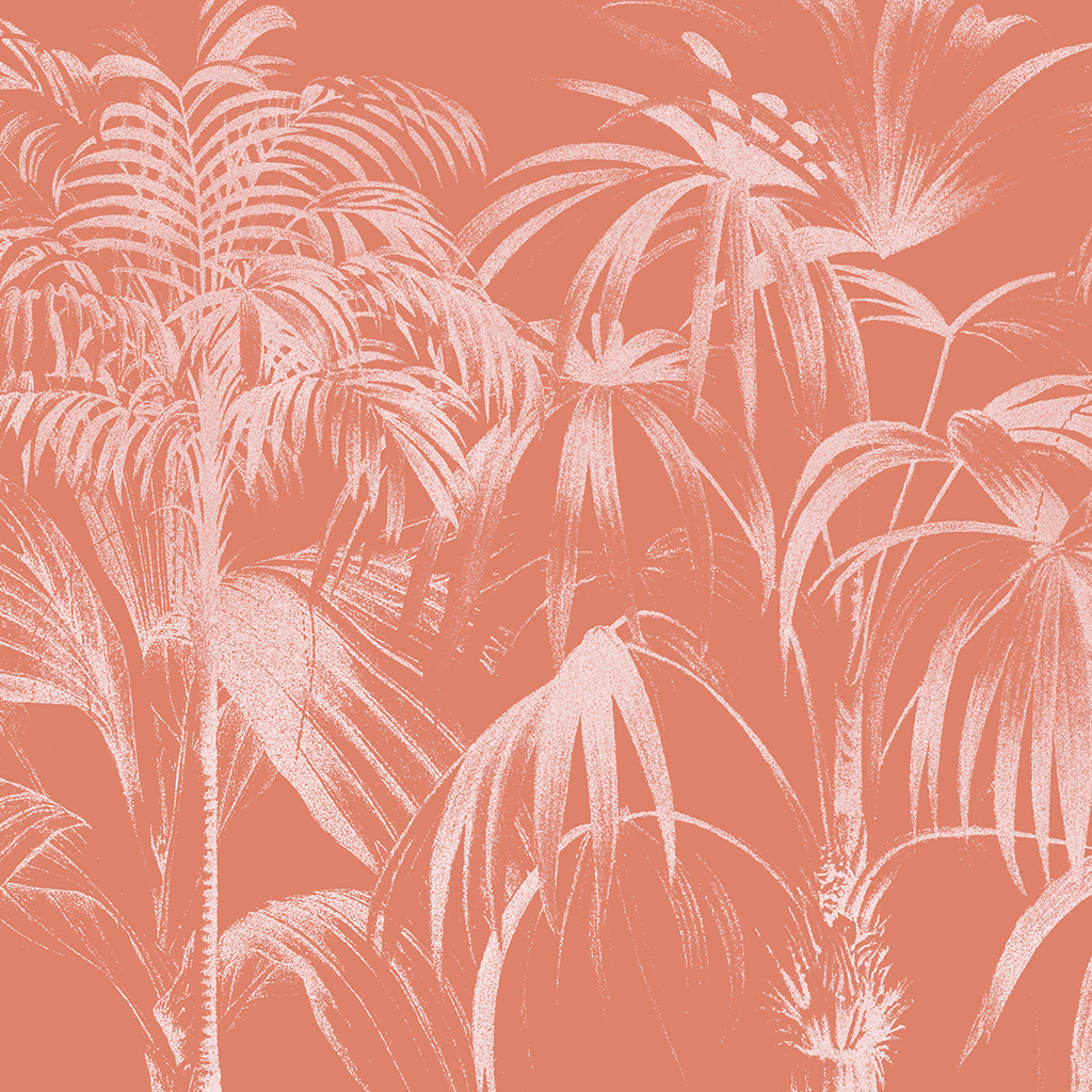 pink_palms